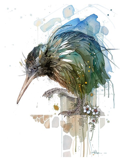 Rachel Walker - Limited Edition Prints