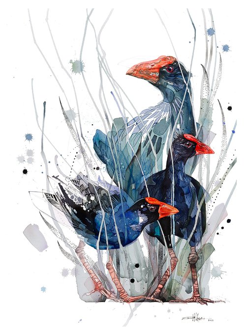 B13 Bluesy Pukeko Trio