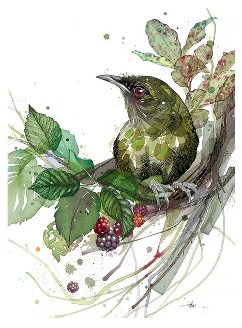 B02 Blackberry Bellbird and Horopito