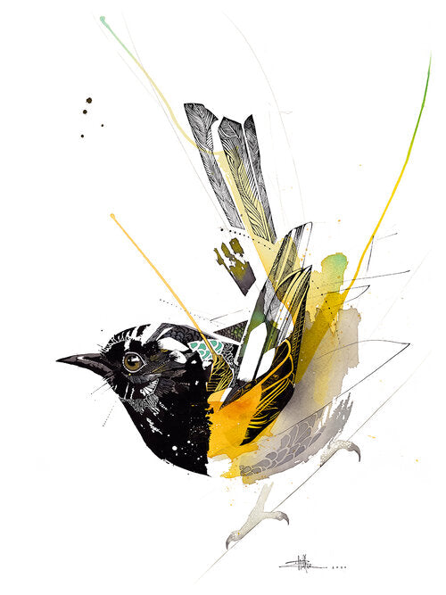 B04 Black Ink Hihi — Stitchbird
