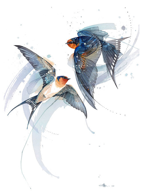 B17 Welcome Swallow Dance