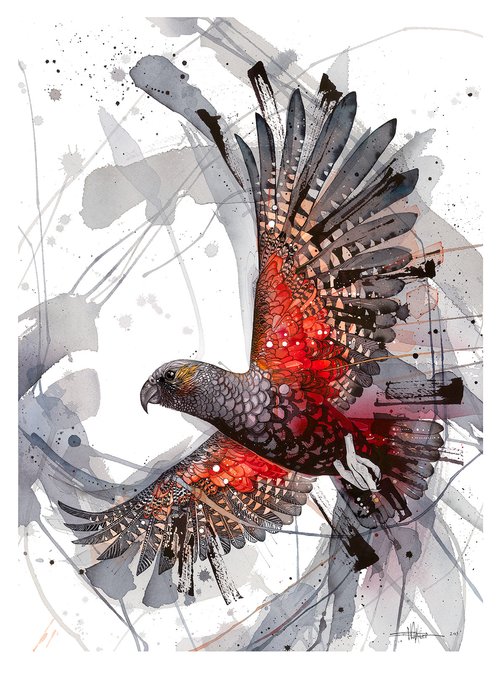 B08 Kākā - Stormy Sky