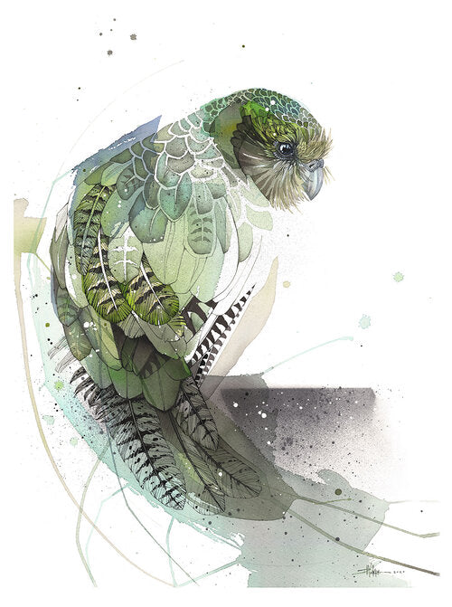 B07 Kākāpō - Bird of the Year 2020