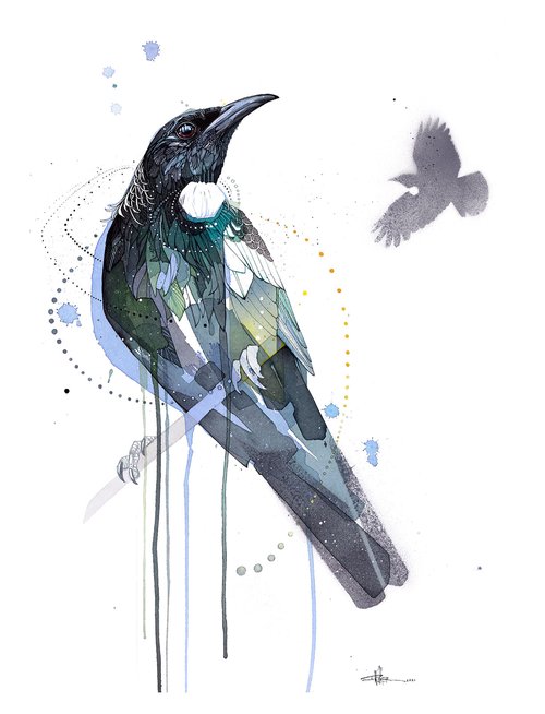 B01 Tui, Stencil & Violet