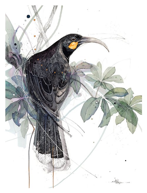 B05 Huia (Watercolour Seven-Finger version)