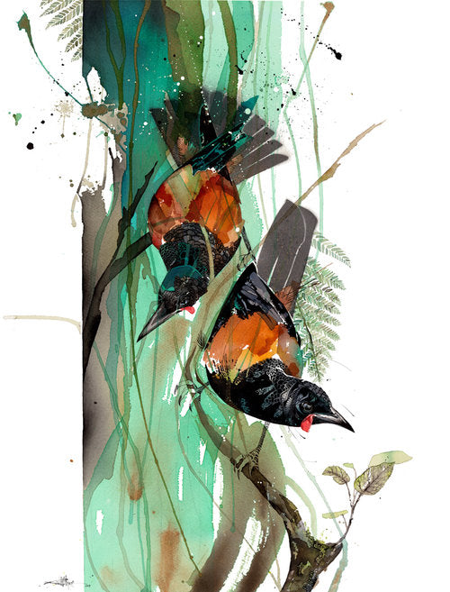 B15 Two Tieke Tree (Saddleback)