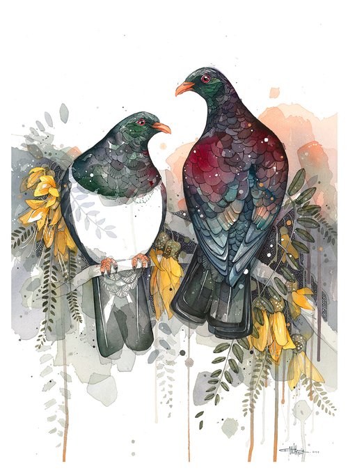 B06 Kereru - Pair at Dawn