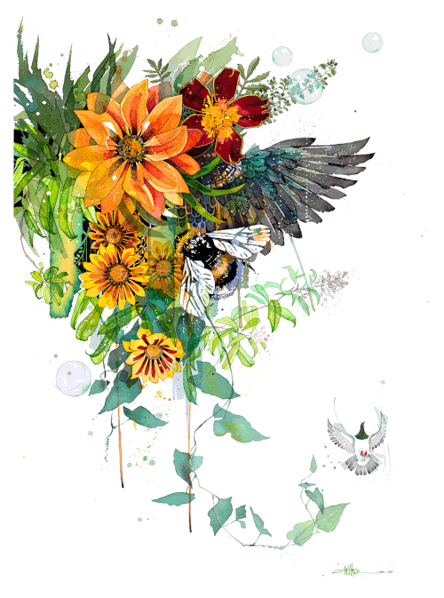 F Backyard Composition