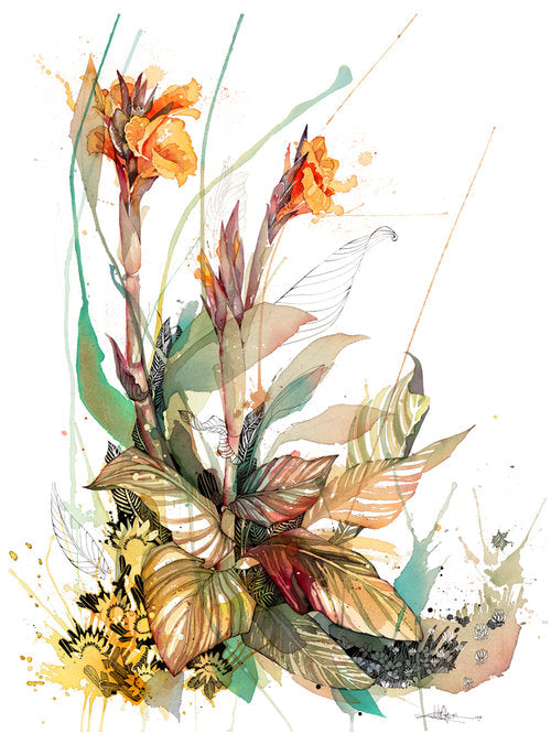 F Canna Lily Composition