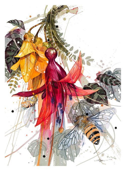 F Fuchsia Kowhai - Colour & Bees