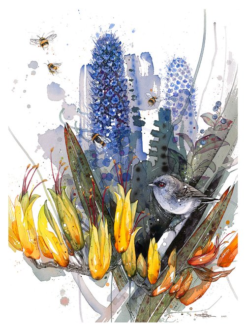 F Warbler Blues & Harakeke