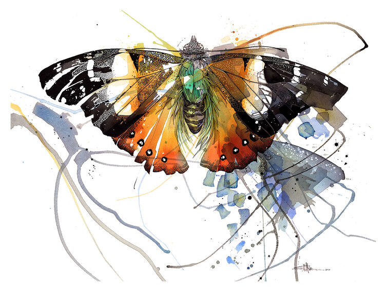 I Kahukowhai (The Yellow Admiral)