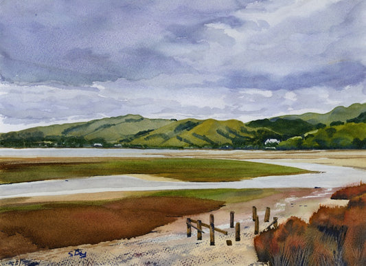 Ebbing Tide at Pauatahanui Inlet SD02