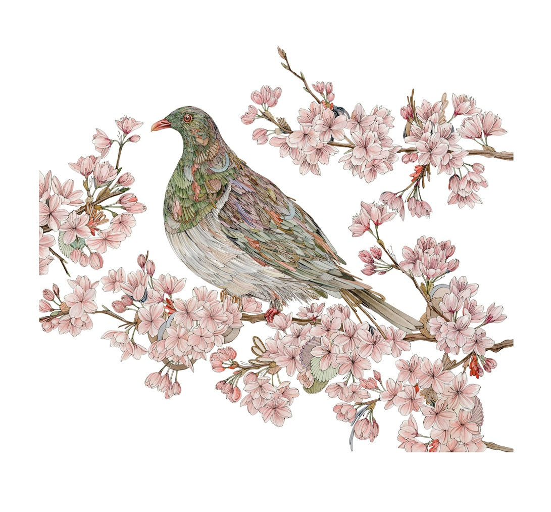 'Kaika' - Kereru in Blossom