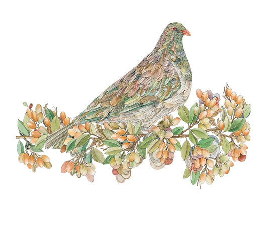 'Kinomi'  - Kereru in Blossom