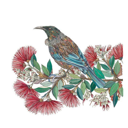 'Natsu Roku' – Tui in Pōhutukawa