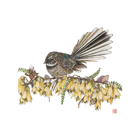 'Owgi Roku' – Piwakawaka in Kowhai