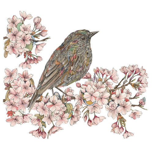 'Sakura Yon' – Blackbird & Blossom