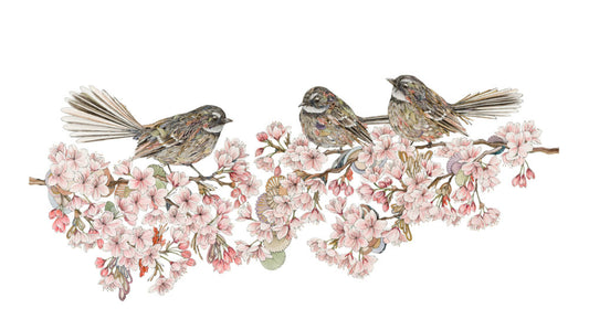 Tsugoi Ni – Three Piwakwaka on Cherry Blossom