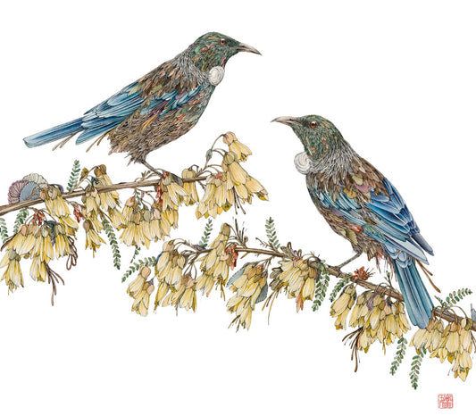 Tsugai Ni – Two Tui in Kowhai