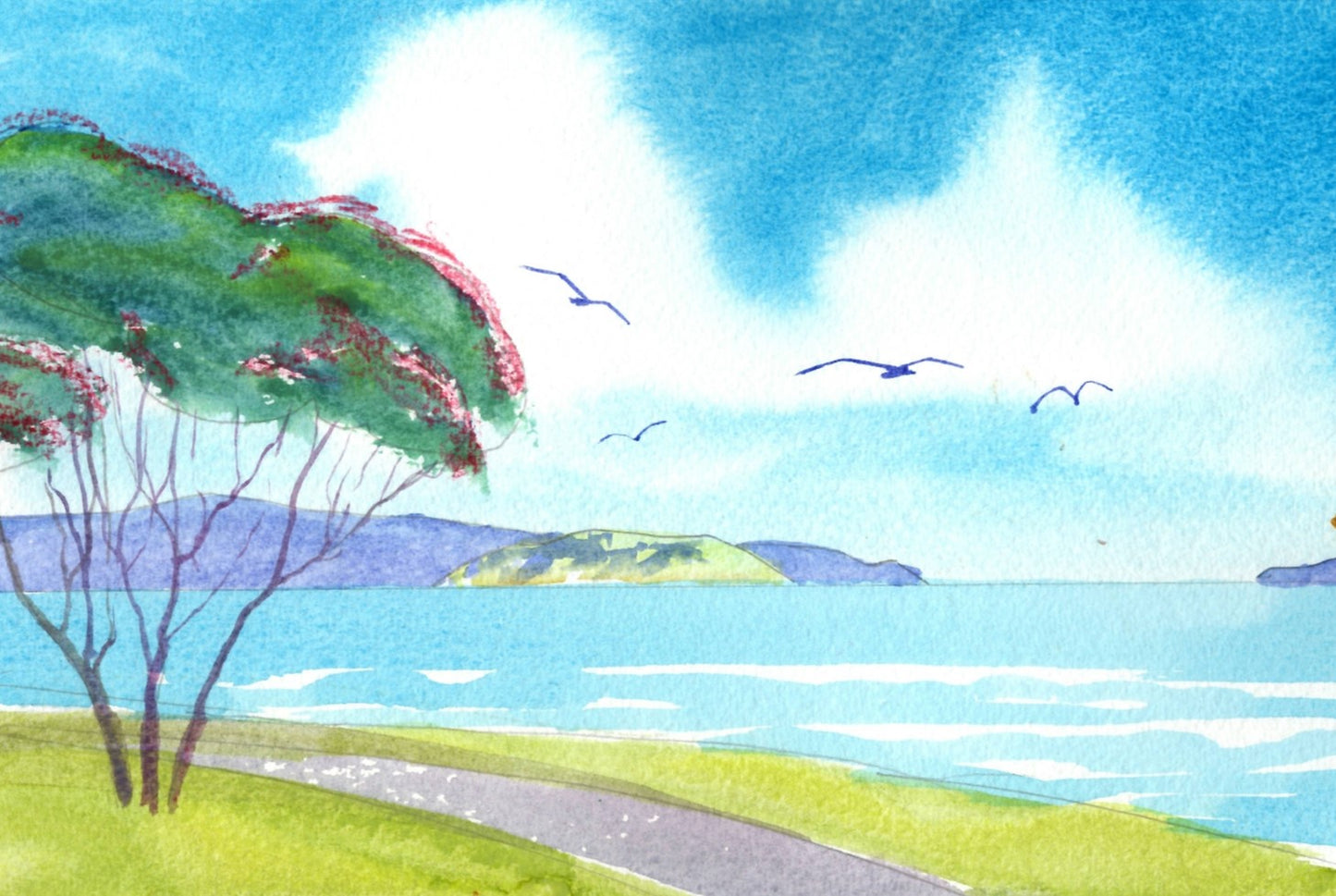 b10 Petone Beach Near Korokoro Stream