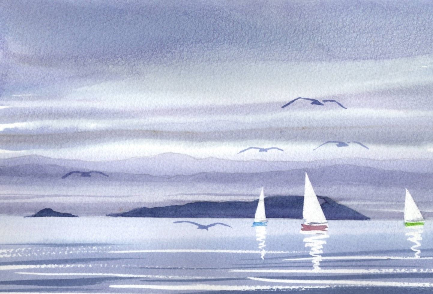 c01 Matiu Somes Island on a Rainy Day viewed from the Hutt Motorway