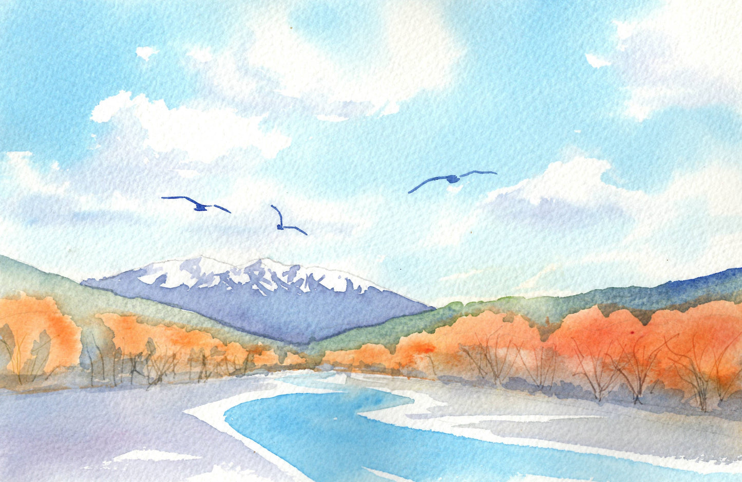 d04 Autumn on the Hutt River