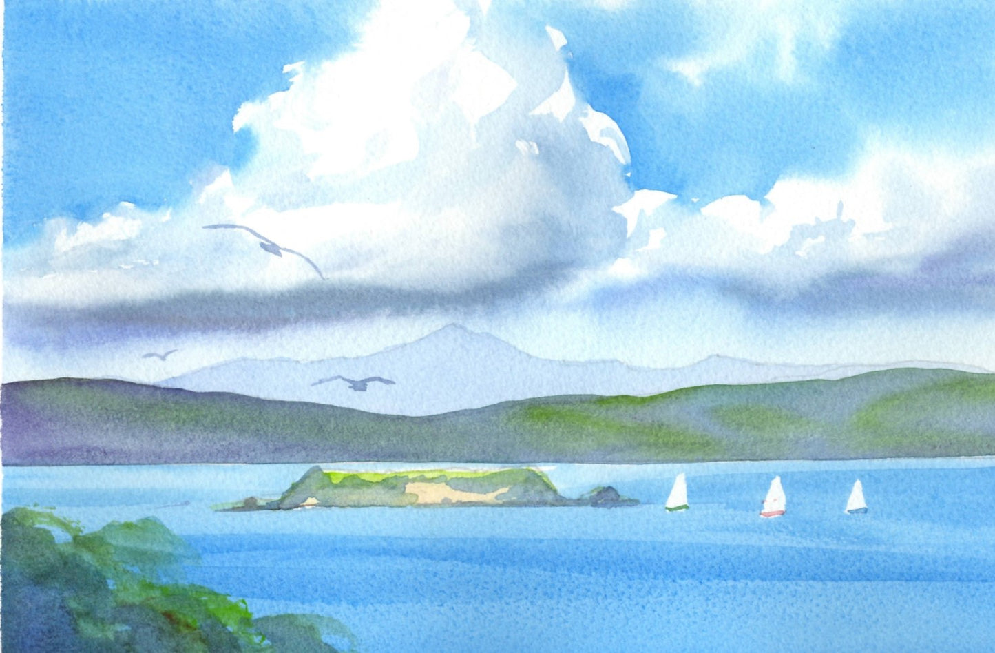 e05 Mākaro-Ward Island from Mahina Bay