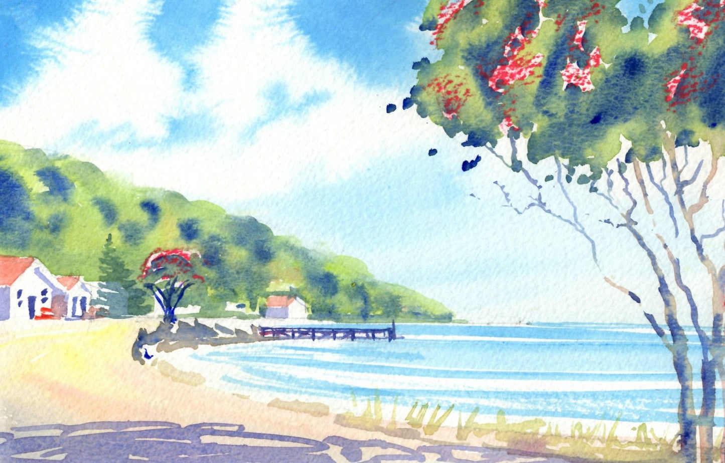 f03 Summer at Karaka Bay Seatoun