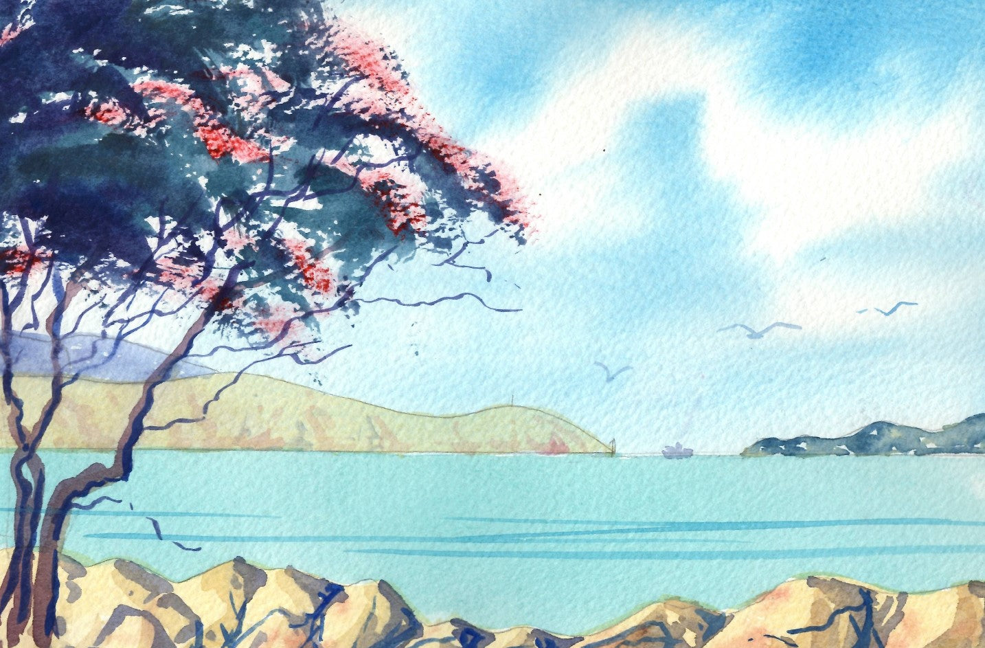 f04 Karaka Bay Seatoun