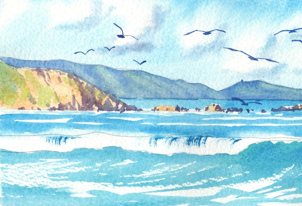 f05 Wellington Harbour Entrance from Seatoun