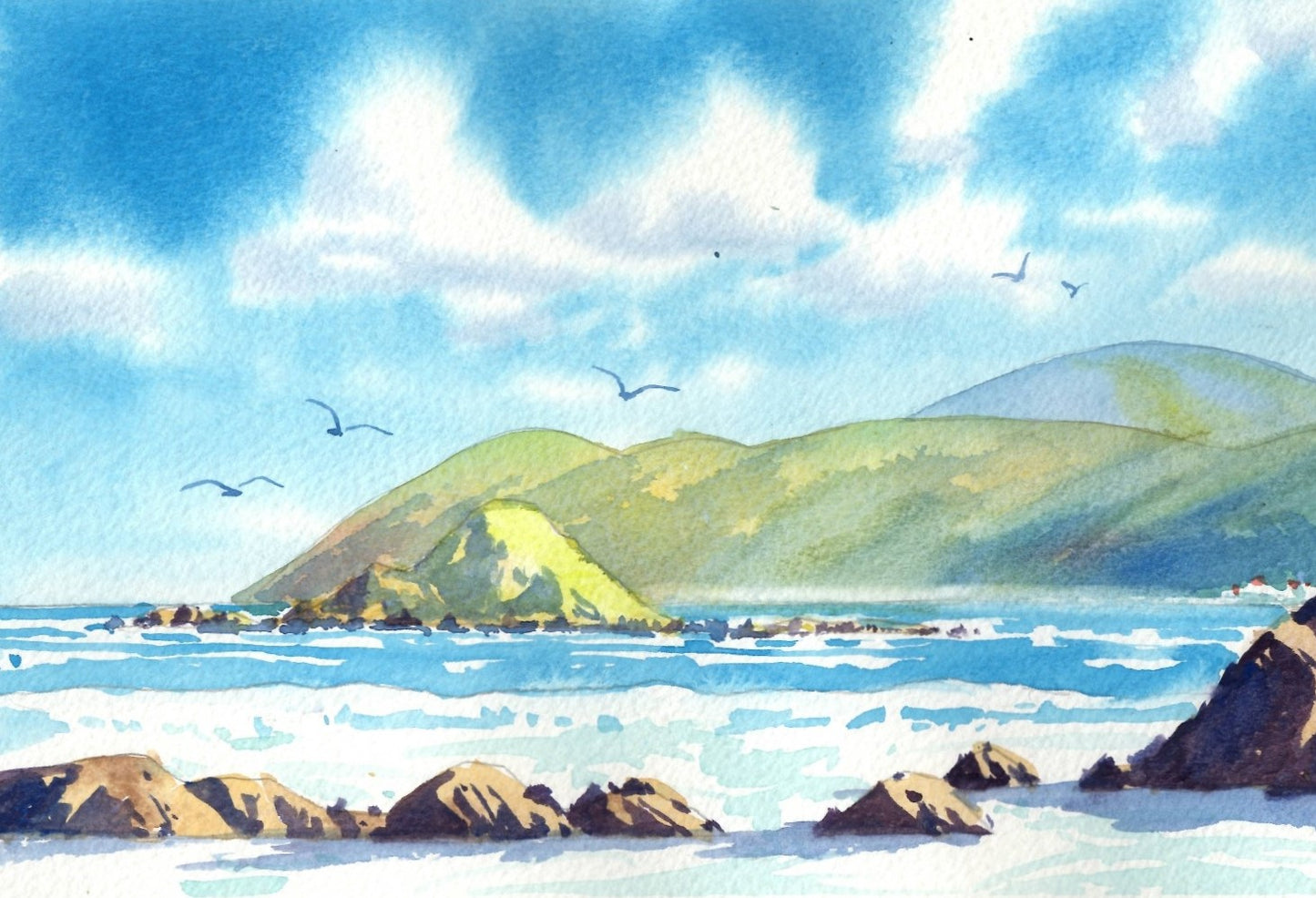 g04 Wellington South Coast Island