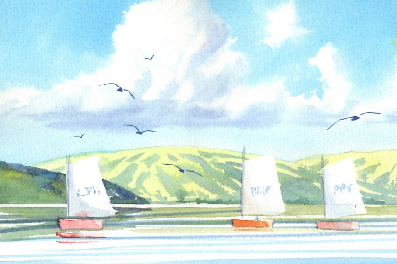 h21 Hightide Sailing at Pauatahanui Inlet