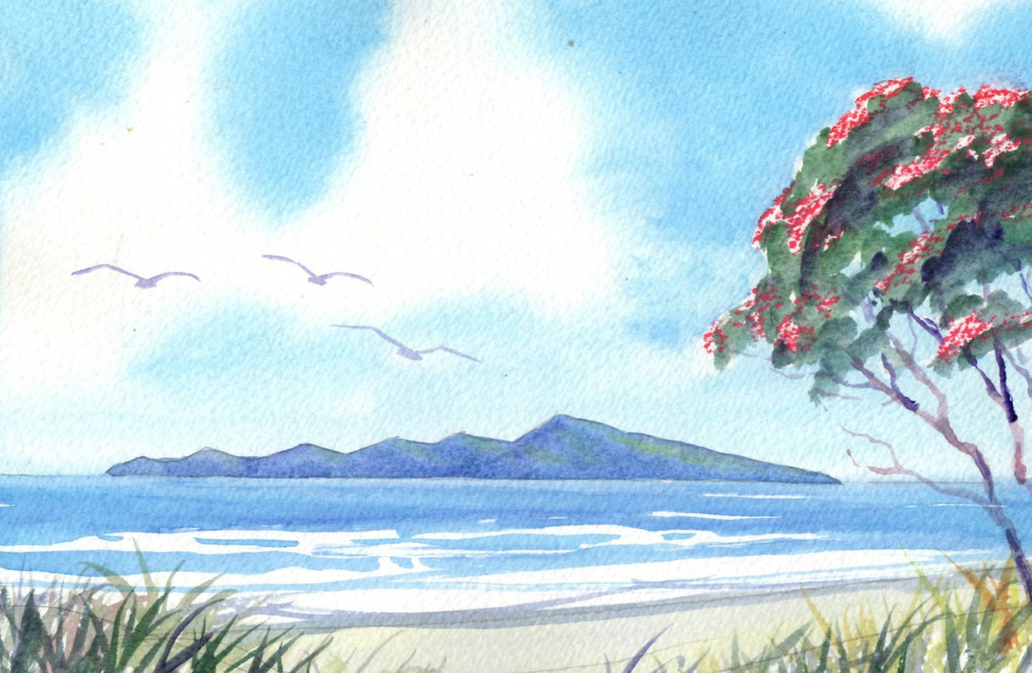 i01 Pohutukawa & Kapiti Island 1