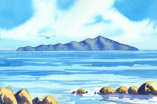 i07 Summer at Kapiti