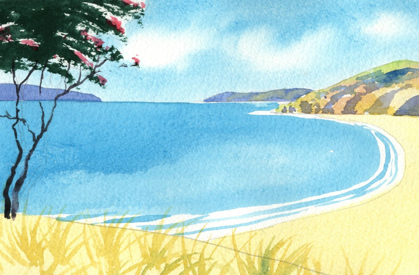 j31 Northland Beach