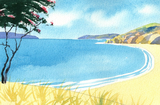 j31 Northland Beach