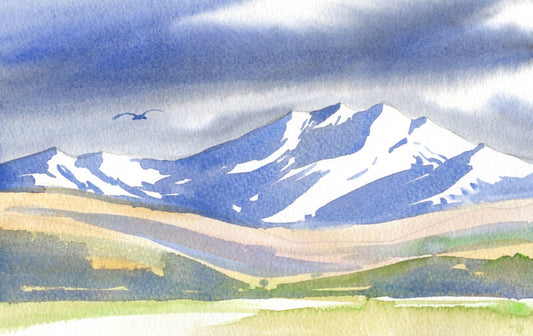 l06 Southern Alps Foothills
