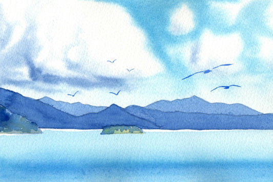 l23 Marlborough Sounds