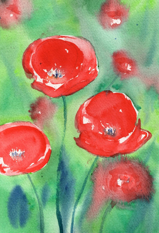 m01 Red Poppies