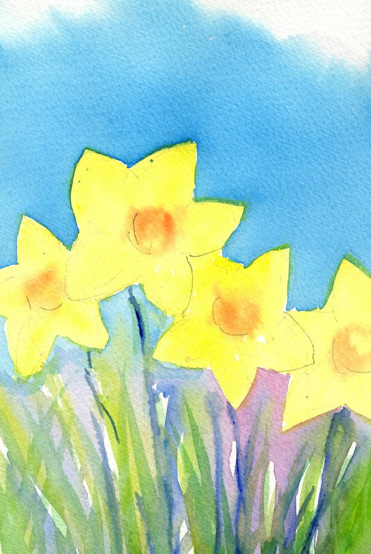 m02 Daffodils