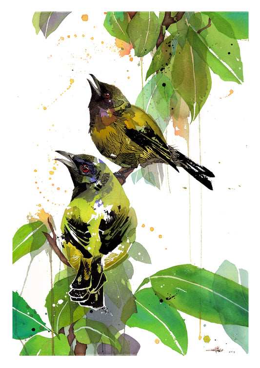 B02 Bellbird Bells - Korimako