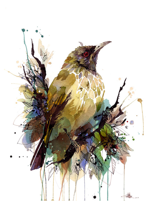 B02 Bellbird Bouquet - Korimako