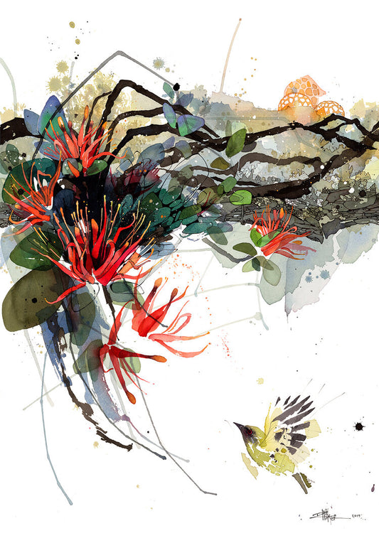B02 Korimako - Bellbird & Scarlet Mistletoe