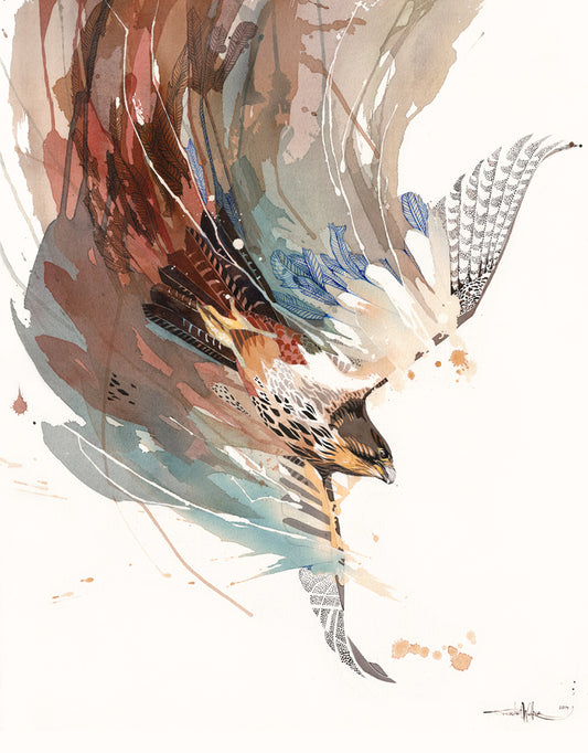 B09 Falcon Swoop - Kārearea