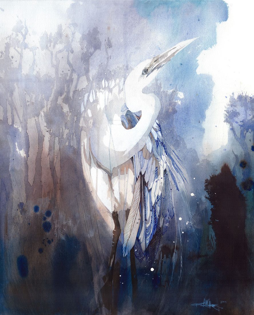 B17 Moody Kōtuku - White Heron