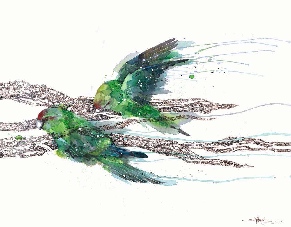 Kākāriki on Ink Branch