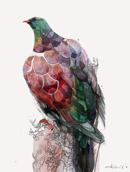 B06 Kererū Rouge