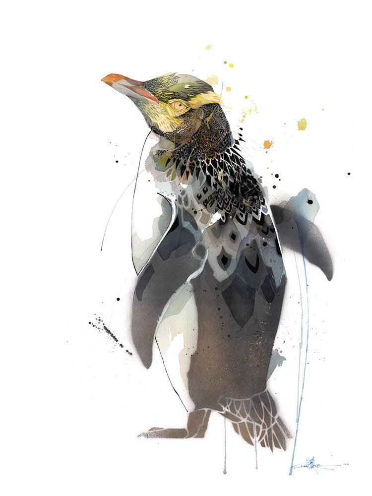 M Yellow Eyed Penguin - Hoiho