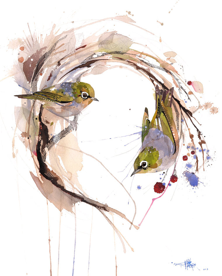 B17 Silvereye Framboise (Wax eye - Tauhou)